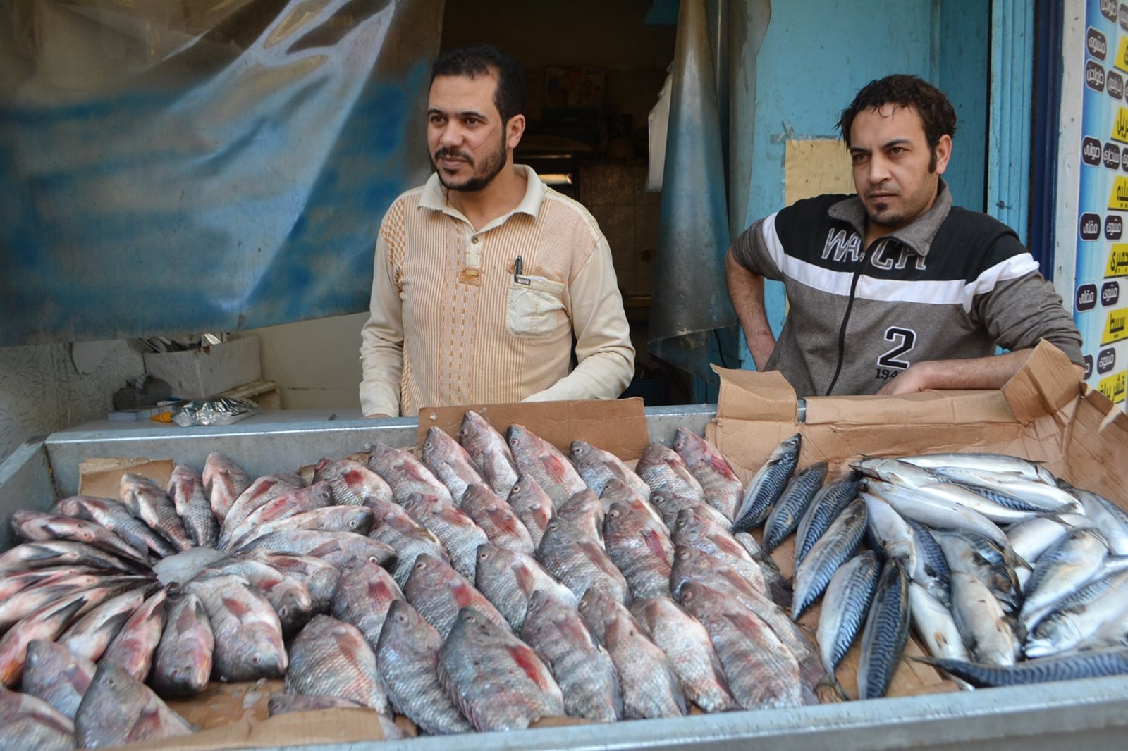 صورة أرشيفية