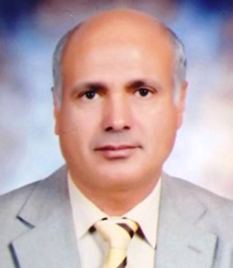 د . عبد الناصر حميدة د . عبد الناصر حميدة