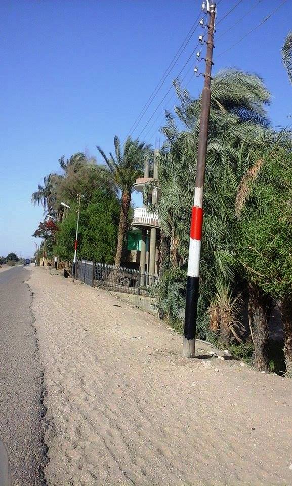 اعمال التشجير والزينة بطريق مطار سوهاج الدولي