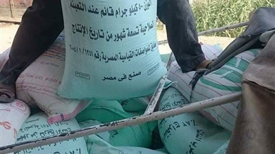 ارشيفية