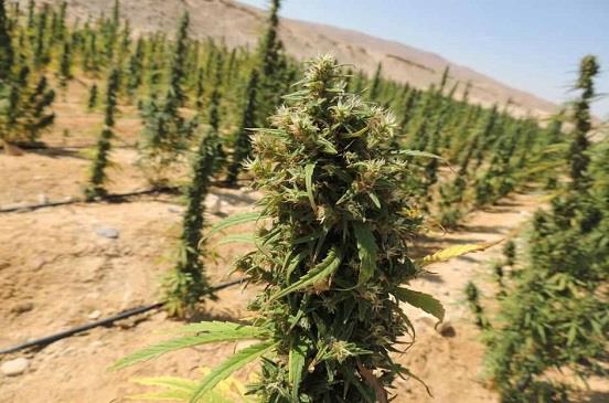 صورة آرشيفية