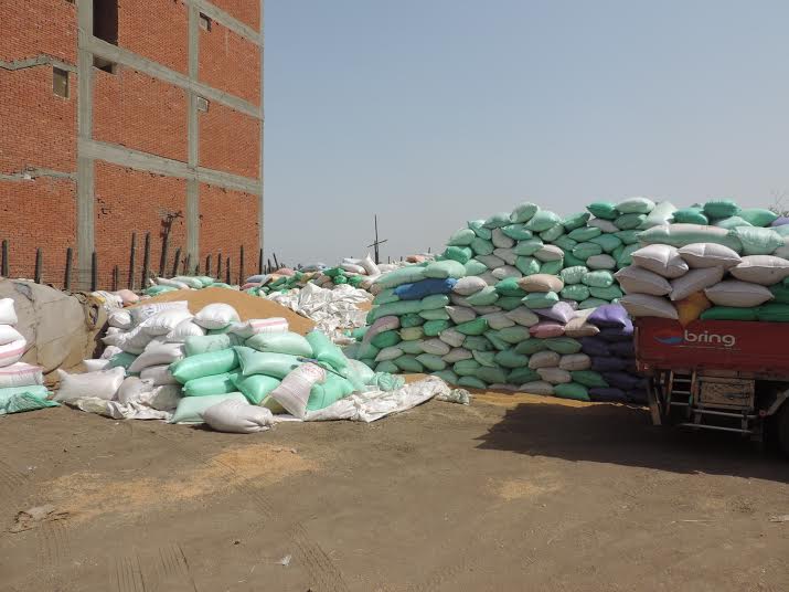 توريد القمح