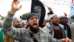المتشددين المتشددين