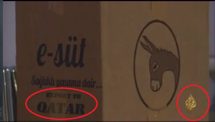 لبن الحمير التركى يصدر إلى قطر