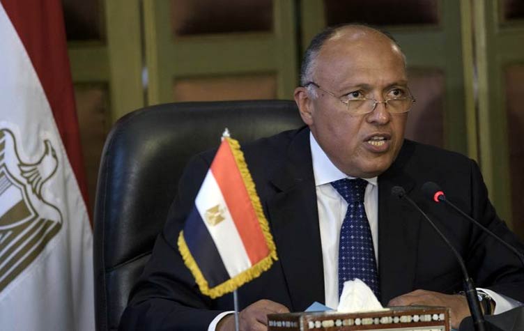 وزير الخارجية سامح شكرى وزير الخارجية سامح شكرى