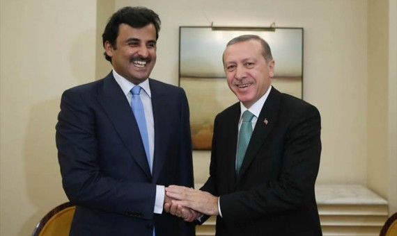 أردوغان وتميم - أرشيفية