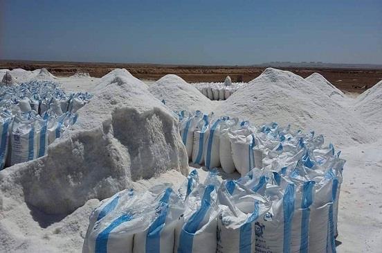 صورة أرشيفية صورة أرشيفية
