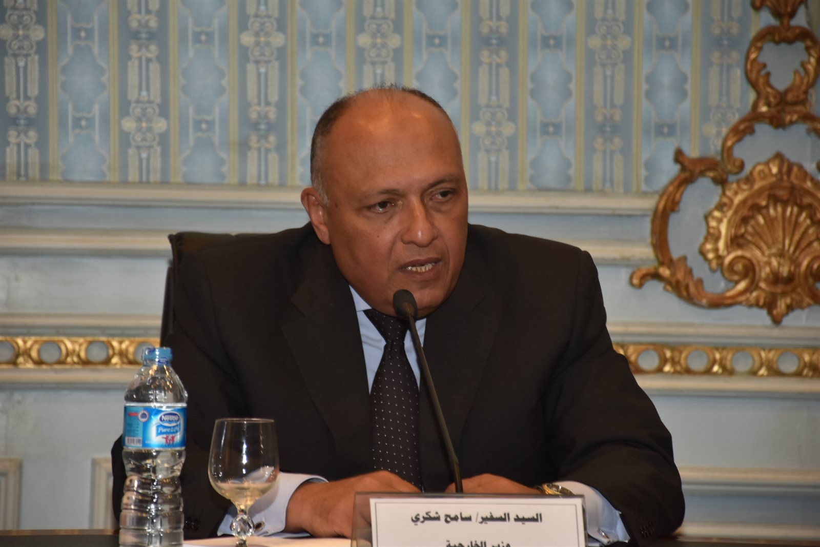 سامح شكرى وزير الخارجية سامح شكرى وزير الخارجية