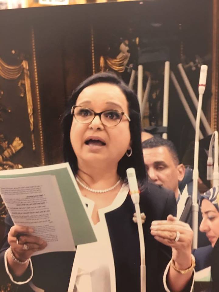 النائبة أنيسة عصام حسونة النائبة أنيسة عصام حسونة