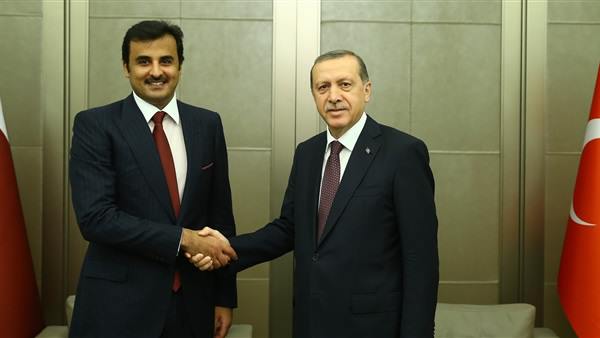 أردوغان وتميم - أرشيفية