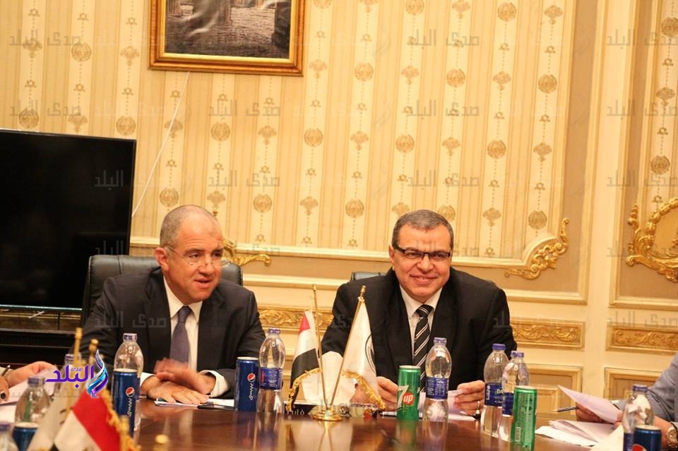 وزير القوي العاملة ورئيس ائتلاف دعم مصر وزير القوي العاملة ورئيس ائتلاف دعم مصر