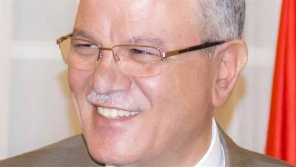 محافظ المنيا اللواء عصام بديوي