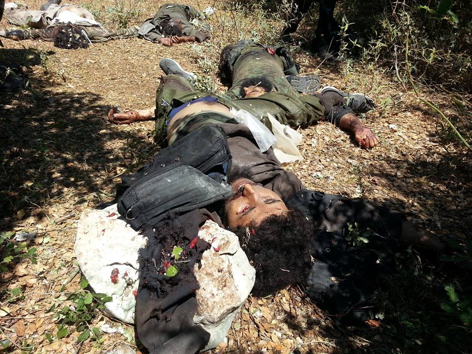 صورة ارشيفية صورة ارشيفية