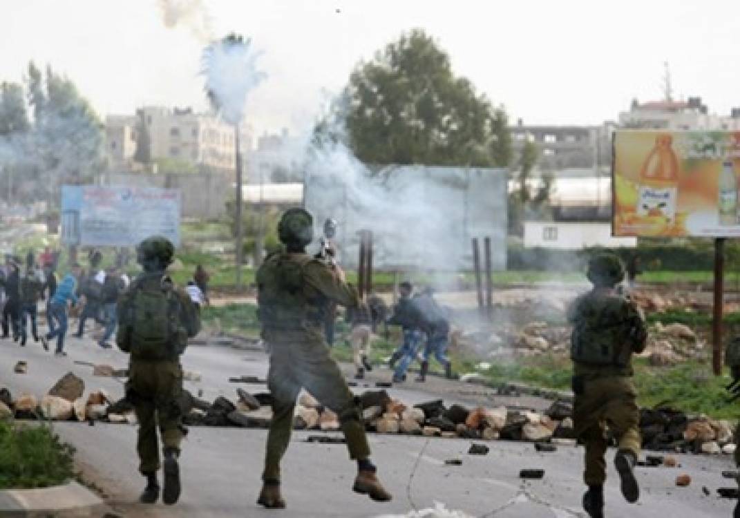 صورة ارشيفية صورة ارشيفية