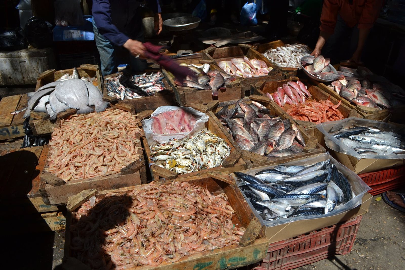 صورة أرشيفية