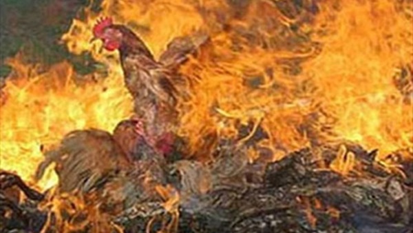 صورة آرشيفية صورة آرشيفية