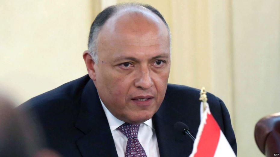 سامح شكري وزير الخارجية المصري سامح شكري وزير الخارجية المصري