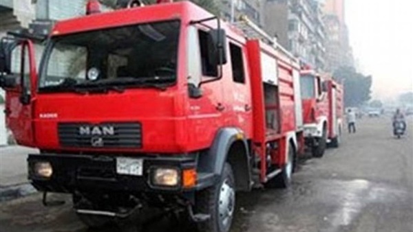 صوره ارشيفيه