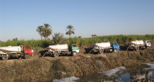 صورة آرشيفية