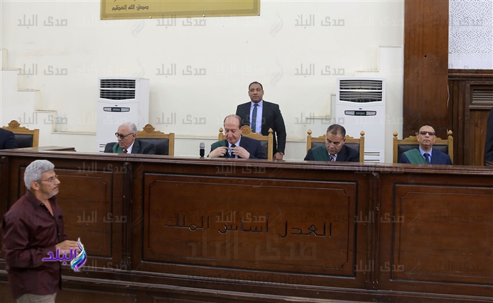 قضية خلية ميكروباص حلوان قضية خلية ميكروباص حلوان