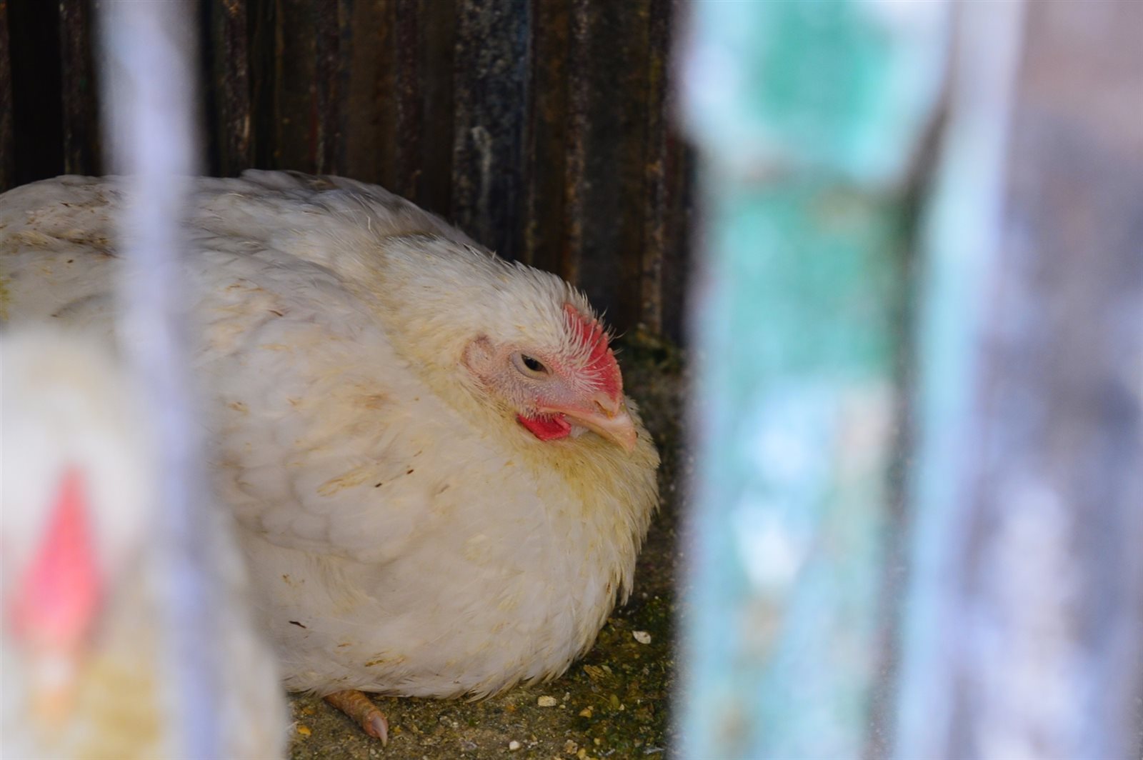 صورة ارشيفية