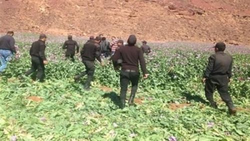 صورة آرشيفية صورة آرشيفية
