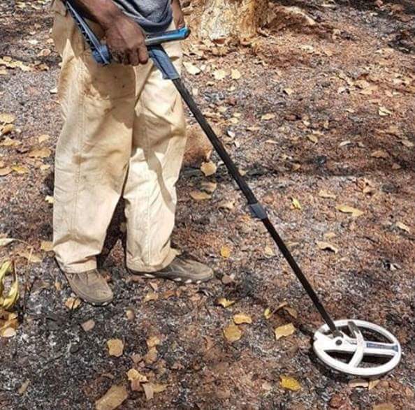 صورة آرشيفية صورة آرشيفية