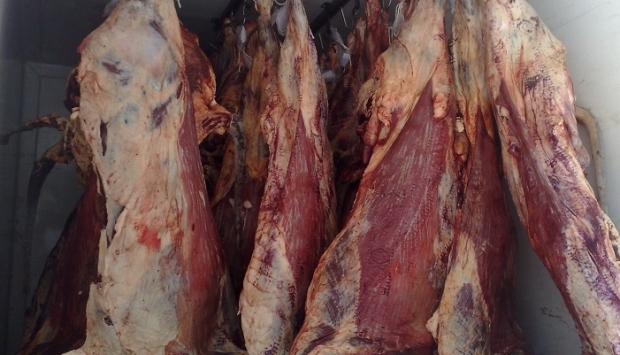 صورة آرشيفية