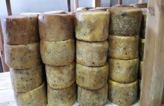 صورة آرشيفية