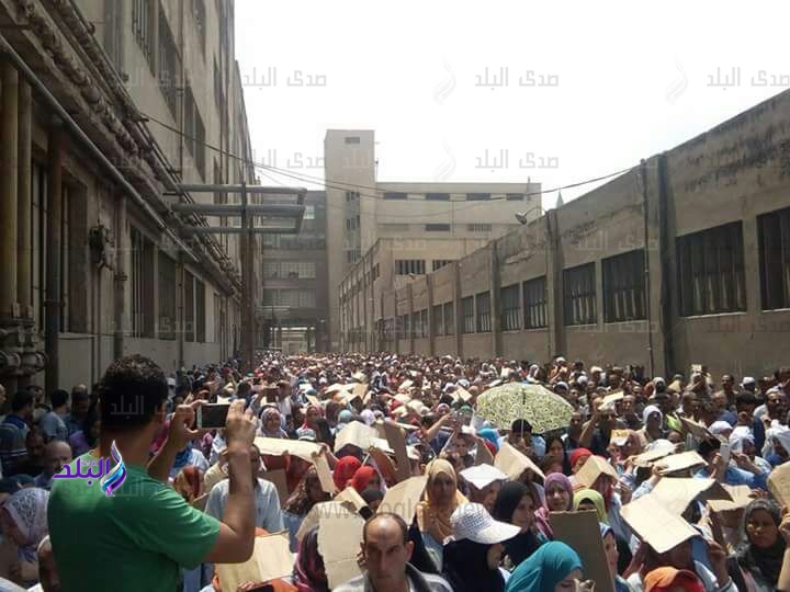 إعتصام عمال الشركة