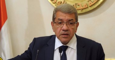 عمرو الجارحي