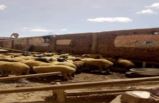 صورة أرشيفية صورة أرشيفية