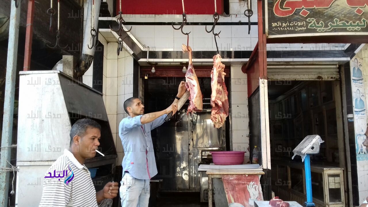 جانب من الحدث جانب من الحدث