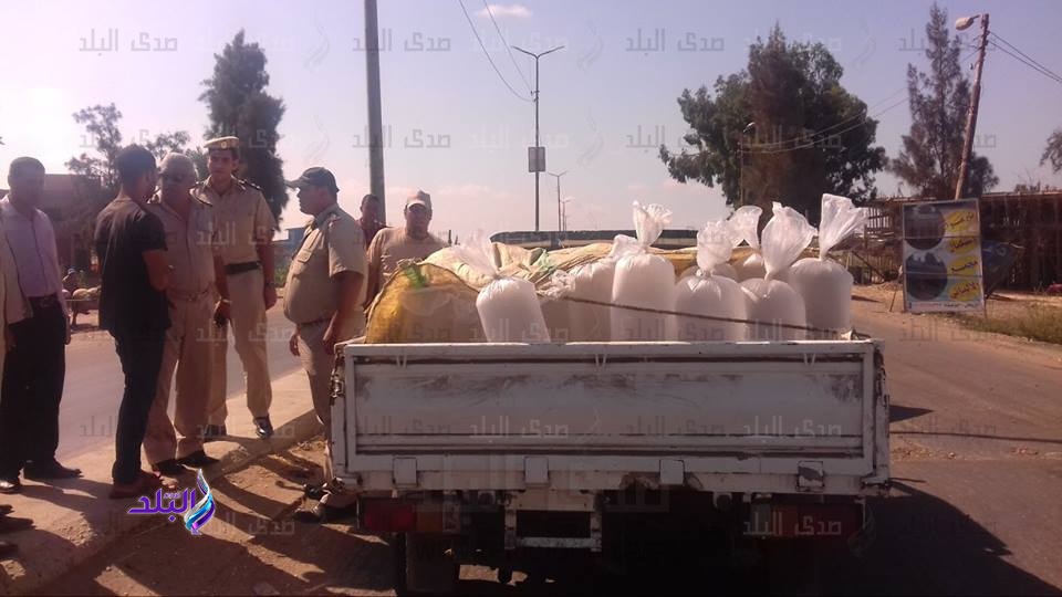 جانب من الحدث جانب من الحدث