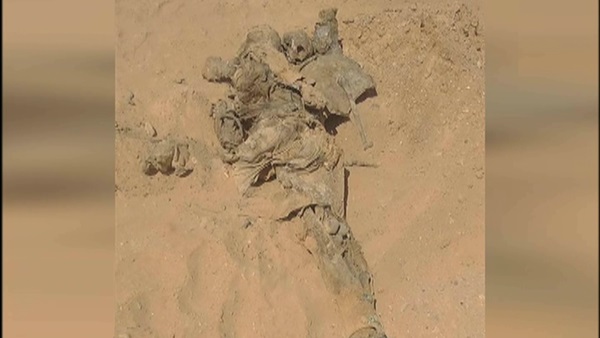 صورة آرشيفية