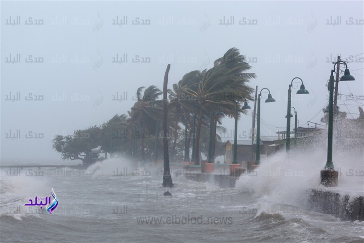 صورة آرشيفية صورة آرشيفية