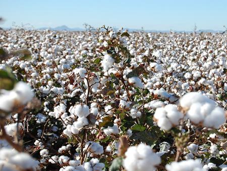 صورة أرشيفية صورة أرشيفية