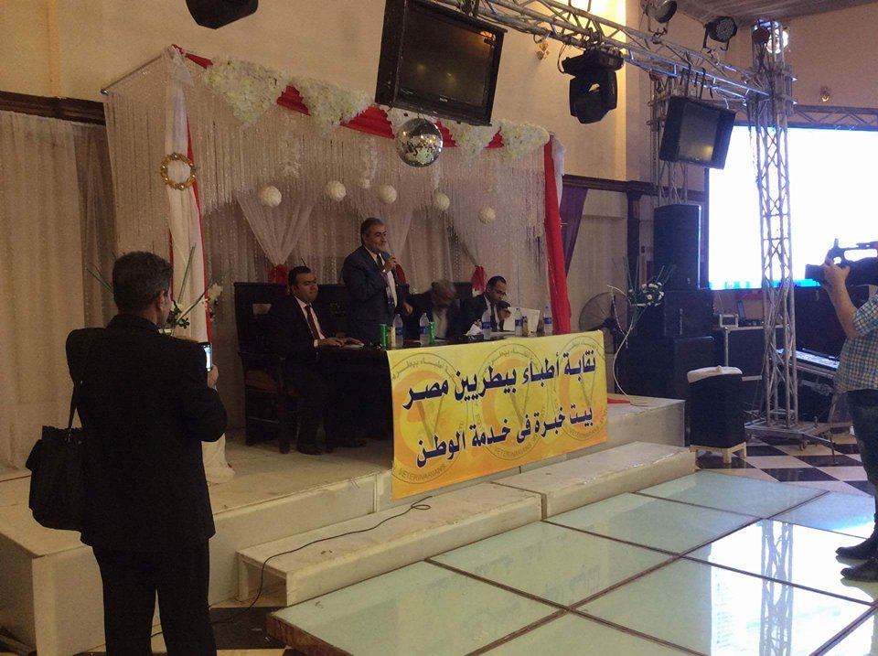 صورة من الحدث 