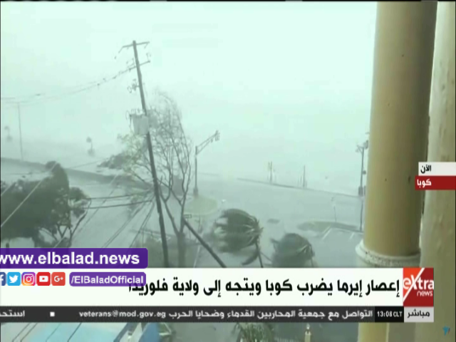 صورة من الحدث 