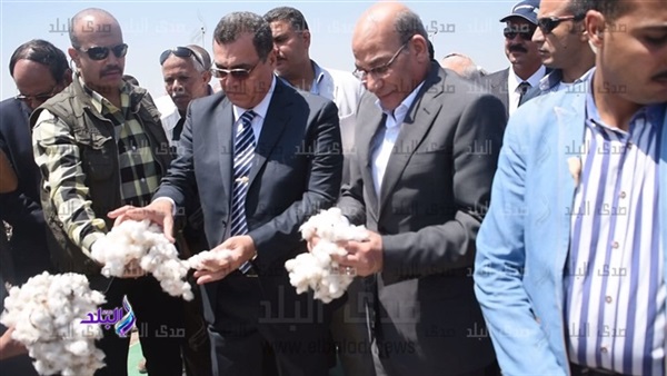 ارشيفية ارشيفية