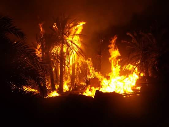 صورة آرشيفية صورة آرشيفية