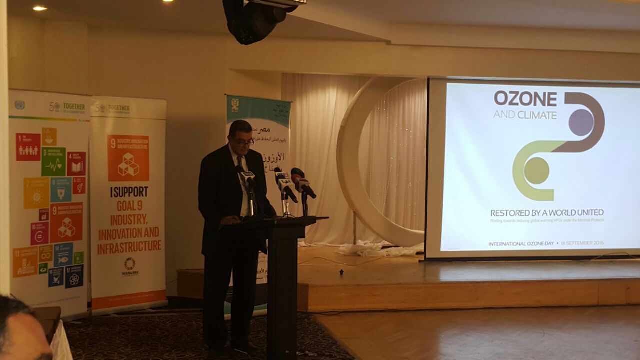 صورة أرشيفية لجهود وزارة البيئة في القضية