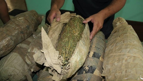 صورة ارشيفية صورة ارشيفية