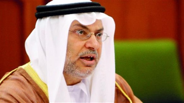 الدكتور انور قرقاش الدكتور انور قرقاش