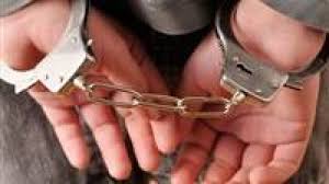 صوره ارشيفيه