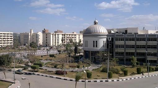 ارشيفية 