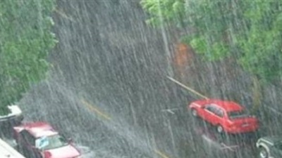 ارشيفية ارشيفية