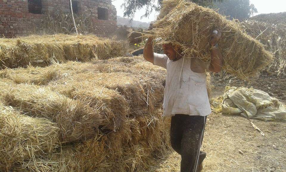 جانب من الحدث