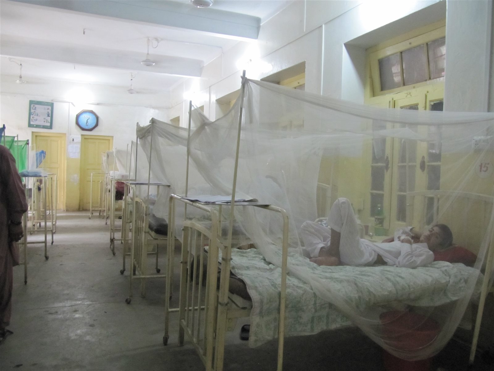  تفشي حمى الضنك في مدينة بيشاور الباكستانية.