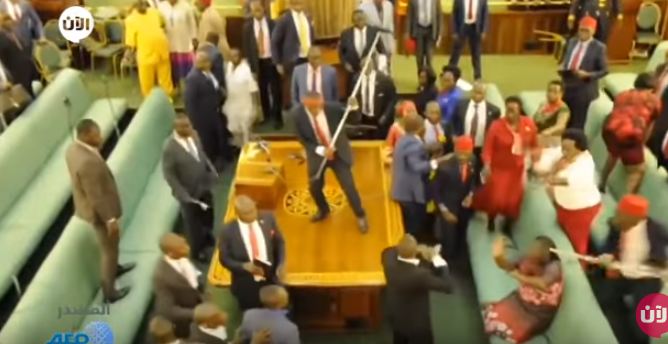 صورة من الحدث 